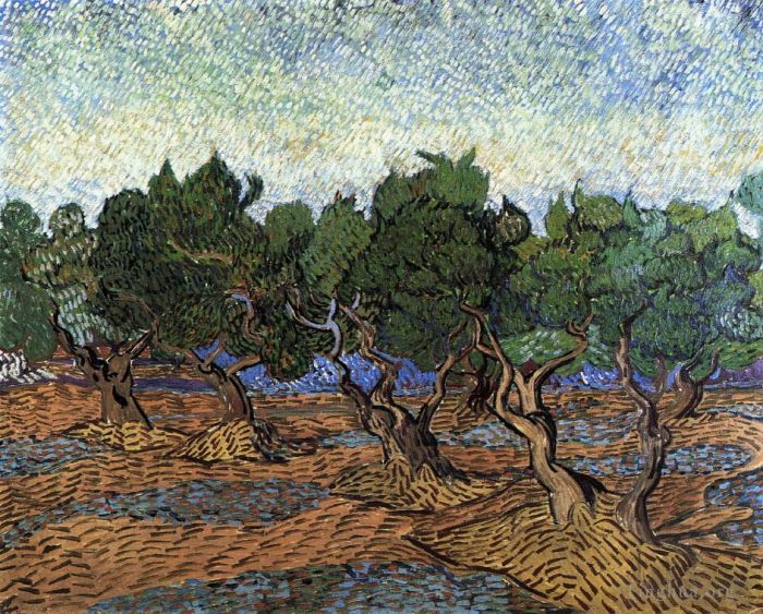 Vincent van Gogh Ölgemälde - Olivenhain 2
