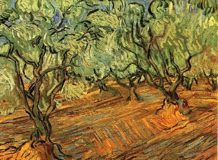 Vincent van Gogh Ölgemälde - Olivenhain strahlend blauer Himmel 2
