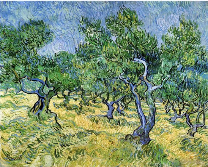 Vincent van Gogh Ölgemälde - Olivenhain