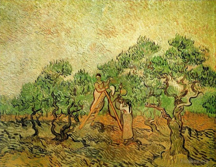 Vincent van Gogh Ölgemälde - Olivenernte 3