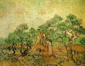 Vincent van Gogh Werk - Olivenernte 3