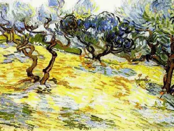 Vincent van Gogh Ölgemälde - Olivenbäume strahlend blauer Himmel