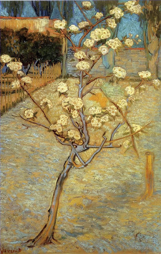 Vincent van Gogh Ölgemälde - Birnbaum in Blüte