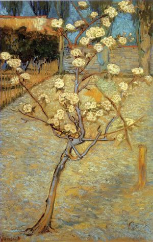 Vincent van Gogh Werk - Birnbaum in Blüte