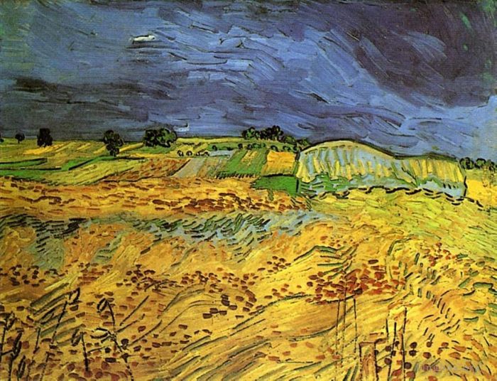 Vincent van Gogh Ölgemälde - Die Felder