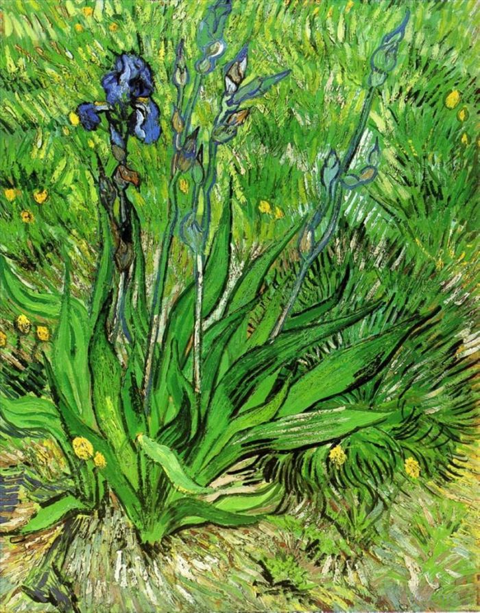 Vincent van Gogh Ölgemälde - Die Iris