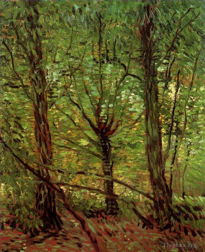 Vincent van Gogh Ölgemälde - Bäume und Unterholz 2