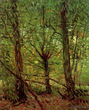 Vincent van Gogh Werk - Bäume und Unterholz 2