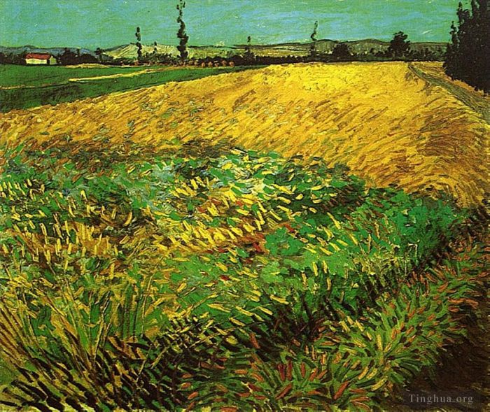 Vincent van Gogh Ölgemälde - Weizenfeld mit den Ausläufern der Alpillen im Hintergrund