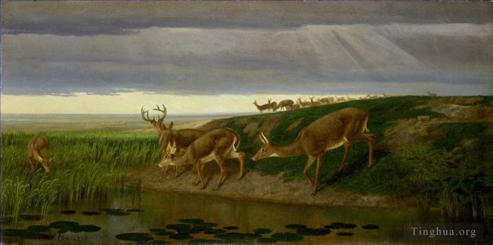 William Holbrook Beard Ölgemälde - Deer_on_the_Prairie