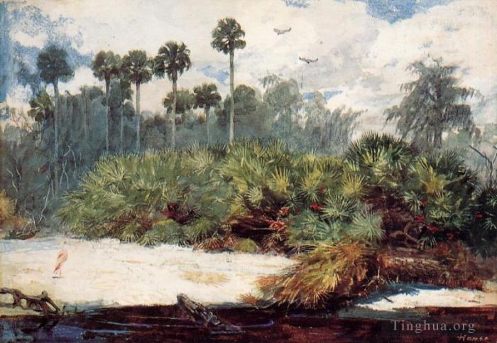 Winslow Homer Ölgemälde - In einem Florida-Dschungel