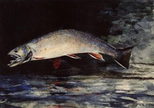 Winslow Homer Werk - Eine Bachforelle