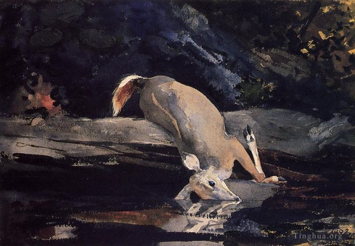 Winslow Homer Andere Malerei - Gefallener Hirsch