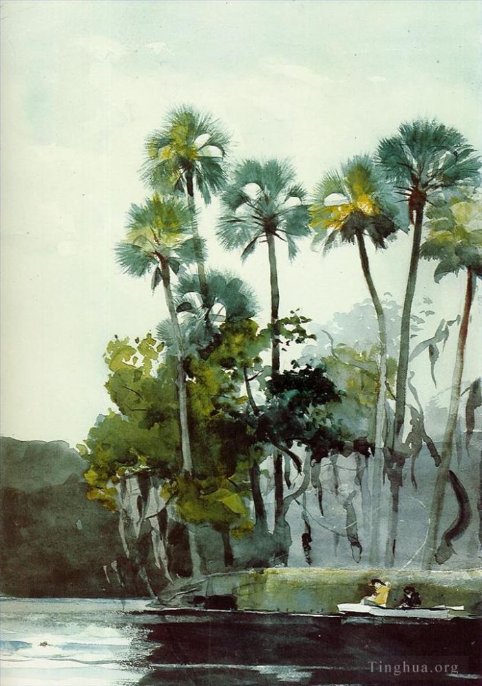 Winslow Homer Andere Malerei - Homosassa-Fluss