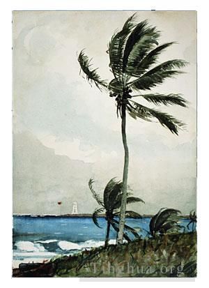 Winslow Homer Andere Malerei - Palme